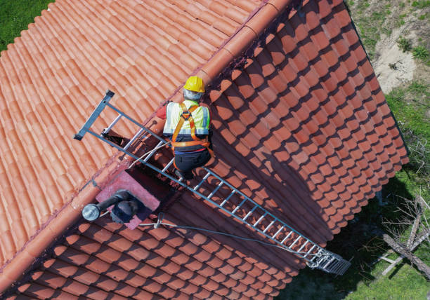 Best Roof Coating and Sealing  in Elfers, FL